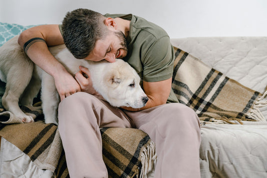 Les meilleures associations de plaids et coussins pour une ambiance cosy