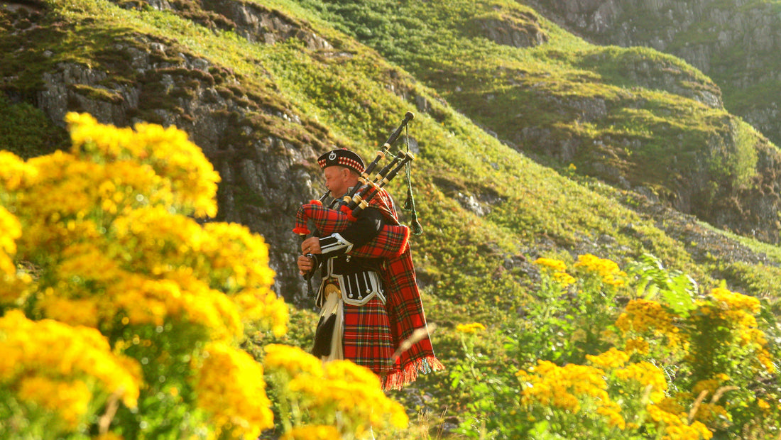 Explorez les racines culturelles des plaids.